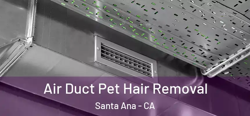  Air Duct Pet Hair Removal Santa Ana - CA