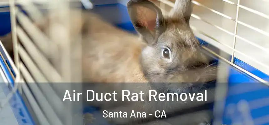 Air Duct Rat Removal Santa Ana - CA