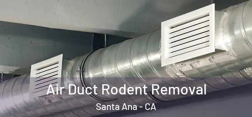 Air Duct Rodent Removal Santa Ana - CA