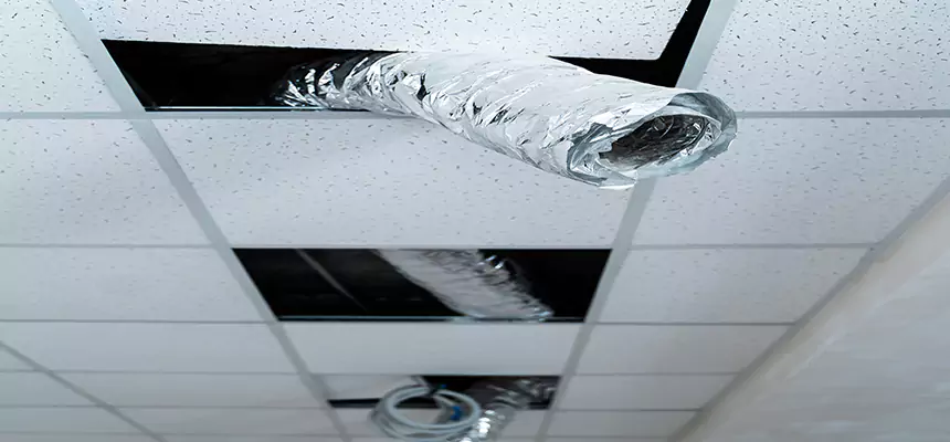 Affordable HVAC Sanitizing After Pest Removal in Santa Ana