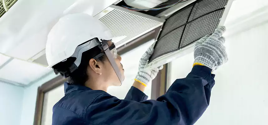 Our Mold & Mildew Removal from Air Ducts Services in Santa Ana, CA