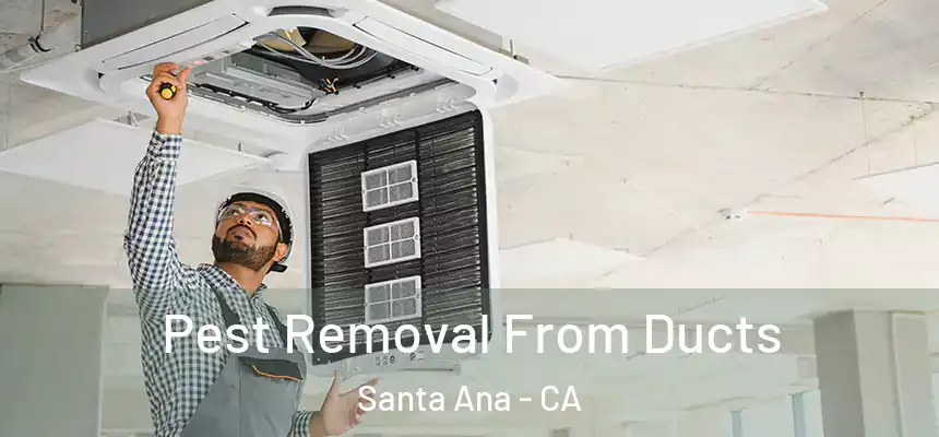 Pest Removal From Ducts Santa Ana - CA