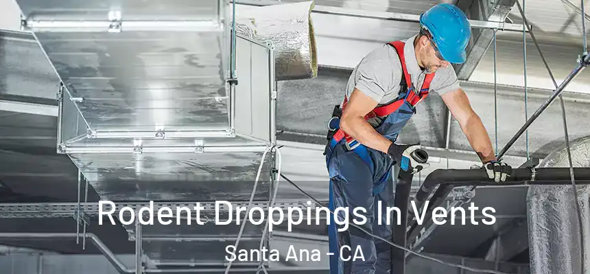 Rodent Droppings In Vents Santa Ana - CA
