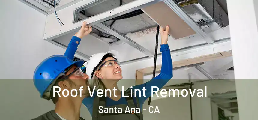 Roof Vent Lint Removal Santa Ana - CA