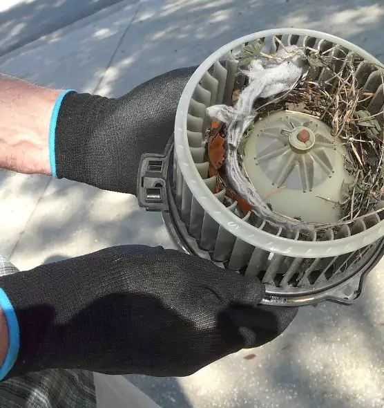 About Air Duct Rat Removal in Santa Ana, CA